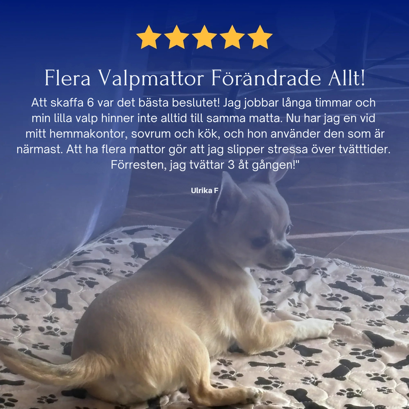 Valpematte - Den eneste tissematten du trenger